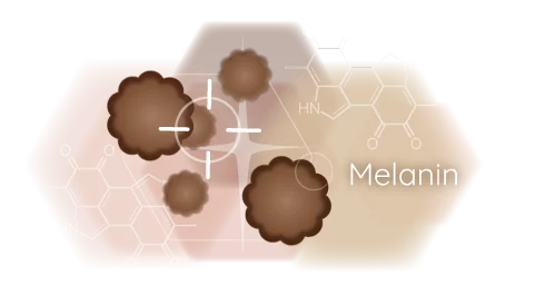 Infografik Melanin